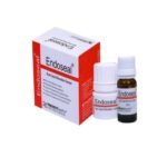 CEMENTO_ENDODONCITO